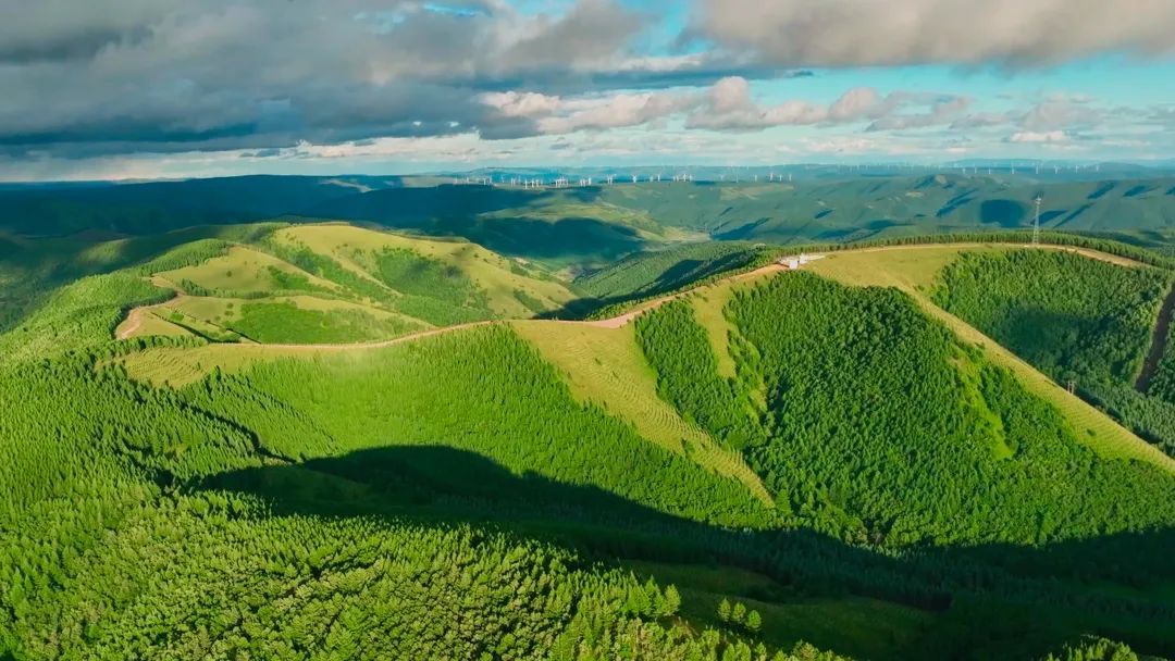 塞罕壩精神如何點(diǎn)亮鄉(xiāng)村振興?干部培訓(xùn)創(chuàng)造綠色轉(zhuǎn)型奇跡